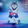 Размещен тендер на подготовку к Чемпионату мира по хоккею
